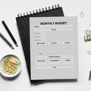 Planejador de orçamento digital, rastreador financeiro, planejador financeiro, orçamento digital, planejador de orçamento digital, planejador de orçamento de retrato, planejador GoodNotes