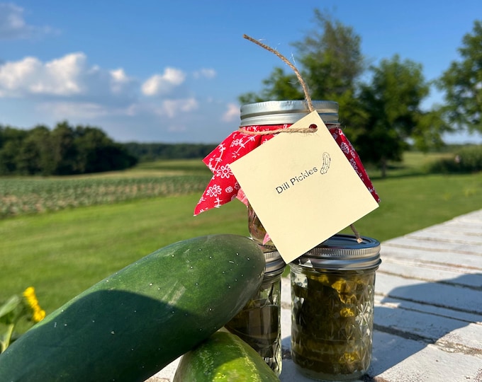 Dill Pickles (1/2 Pint)