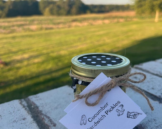 Pickled Red Onion (1 Pint)