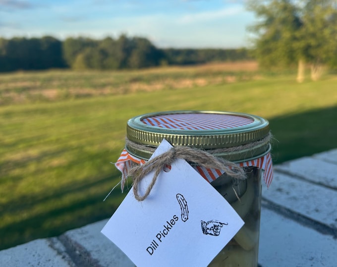 Dill Pickles (1 Pint)