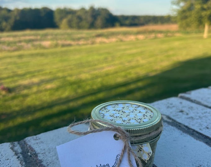 Dill Pickles (4 ouce)