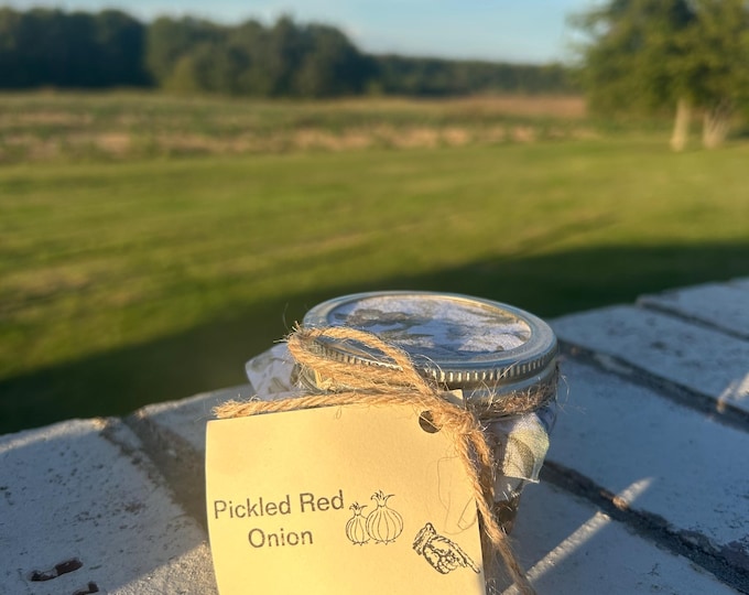 Pickled Red Onion (4 ounce)