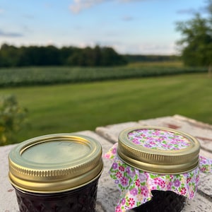 Mermelada de arándanos (4 oz)