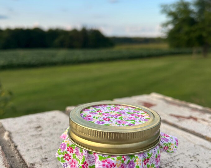 Blueberry Jam (4 ounce)