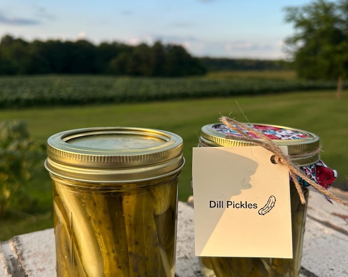 Dill Pickle Spears (1 Pint)