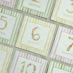 Baby Girl Floral Milestone Cards
