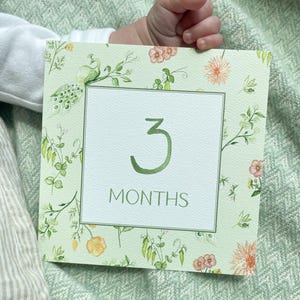 Gender Neutral Baby Milestone Cards - Etsy