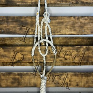White Lariat Noseband Halter
