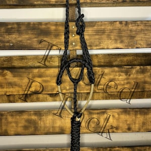 Black Lariat Noseband Halter