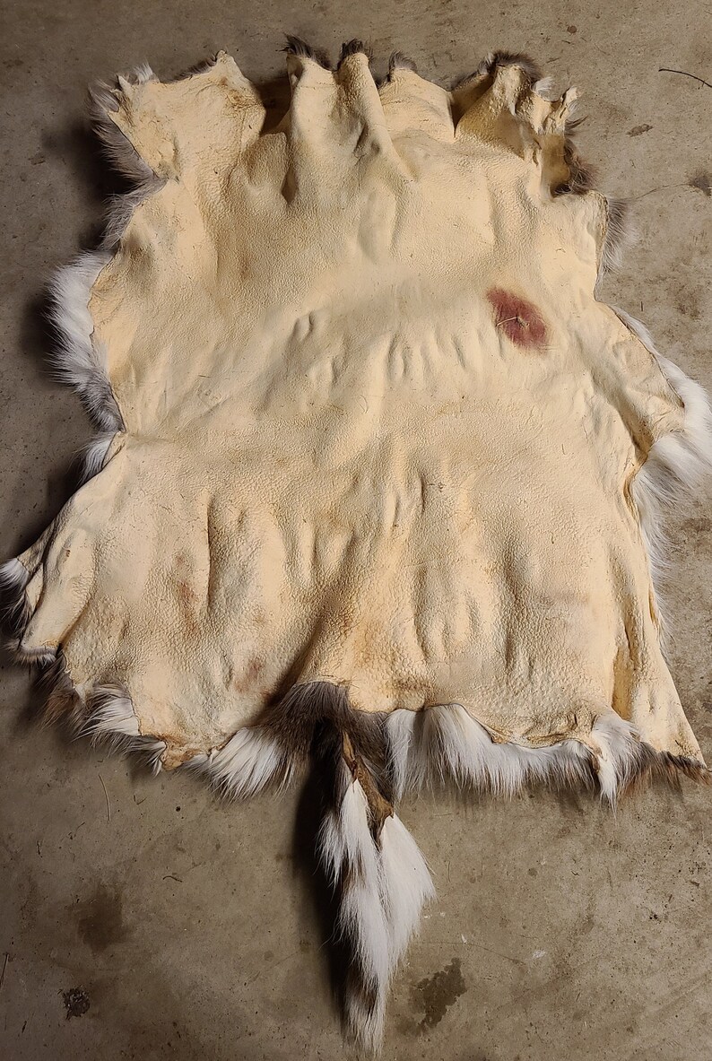 Real Tanned Whitetail Deer Hide fur On Etsy