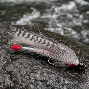May include: A detailed fly fishing lure with a gold hook, gray and black speckled feathers, and a red accent. The lure is designed to mimic a small fish and is resting on a wet, dark rock near flowing water.