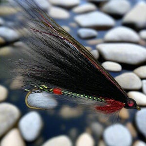 Mosca de pesca Streamer, Hairwing, Shiner preto e branco, anzol único, tamanhos 2-4