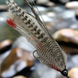 Mosca de pesca Streamer, Hairwing, Azul-petróleo e Branco, Tandem, Tamanho 4