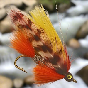 Streamer Fishing Fly, Dicks Special - Marabou Streamer, Sizes 2-6