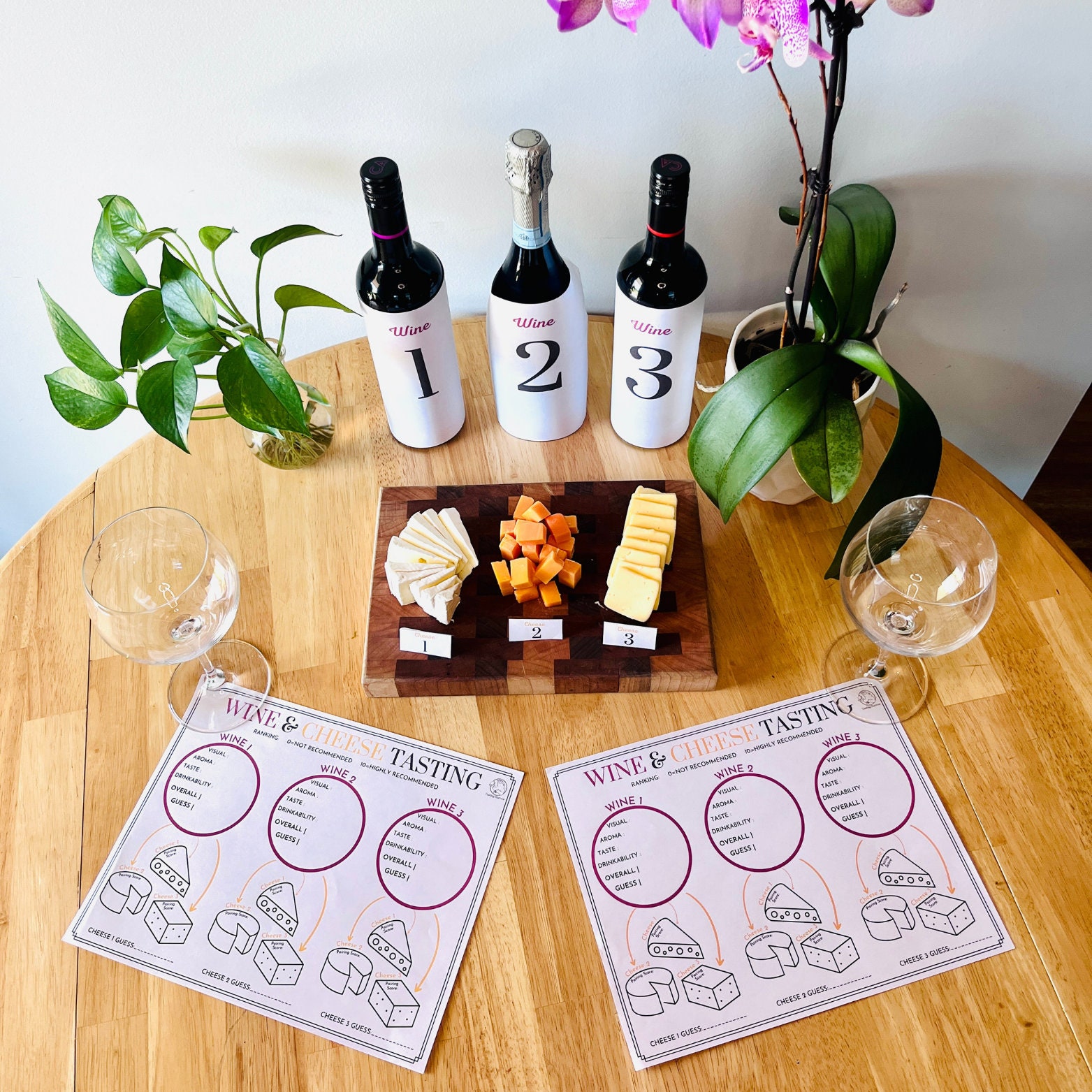 Wine and Cheese Pairing, Blind Tasting, Wine and Cheese Party Kit ...