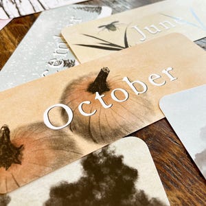 May include: A set of cards featuring different months of the year with illustrations. The card shown is for October and features a watercolor illustration of pumpkins.