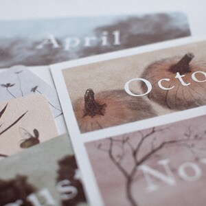 May include: A set of cards with illustrations and the months of April, October, and November printed on them. The cards are printed on a textured paper with a light brown background.
