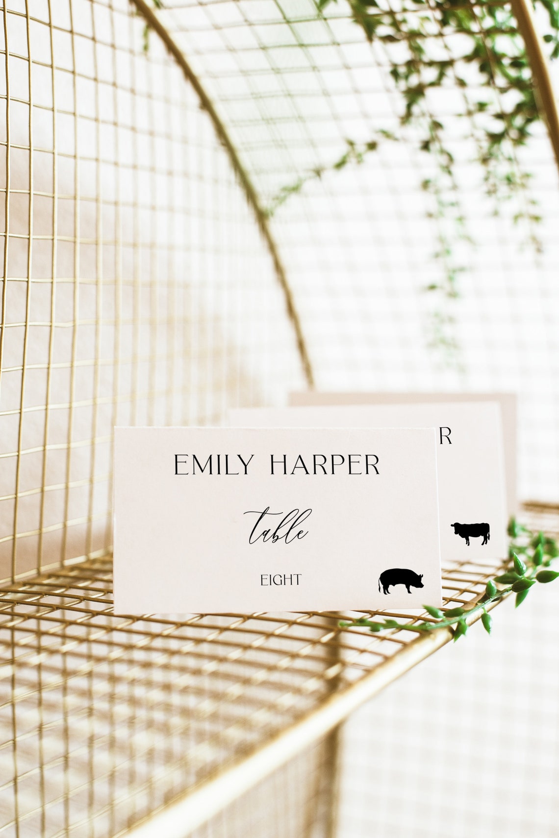 Wedding Place Cards With Names Printed Wedding Place Cards Etsy