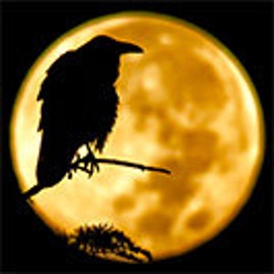 Raven Moon
