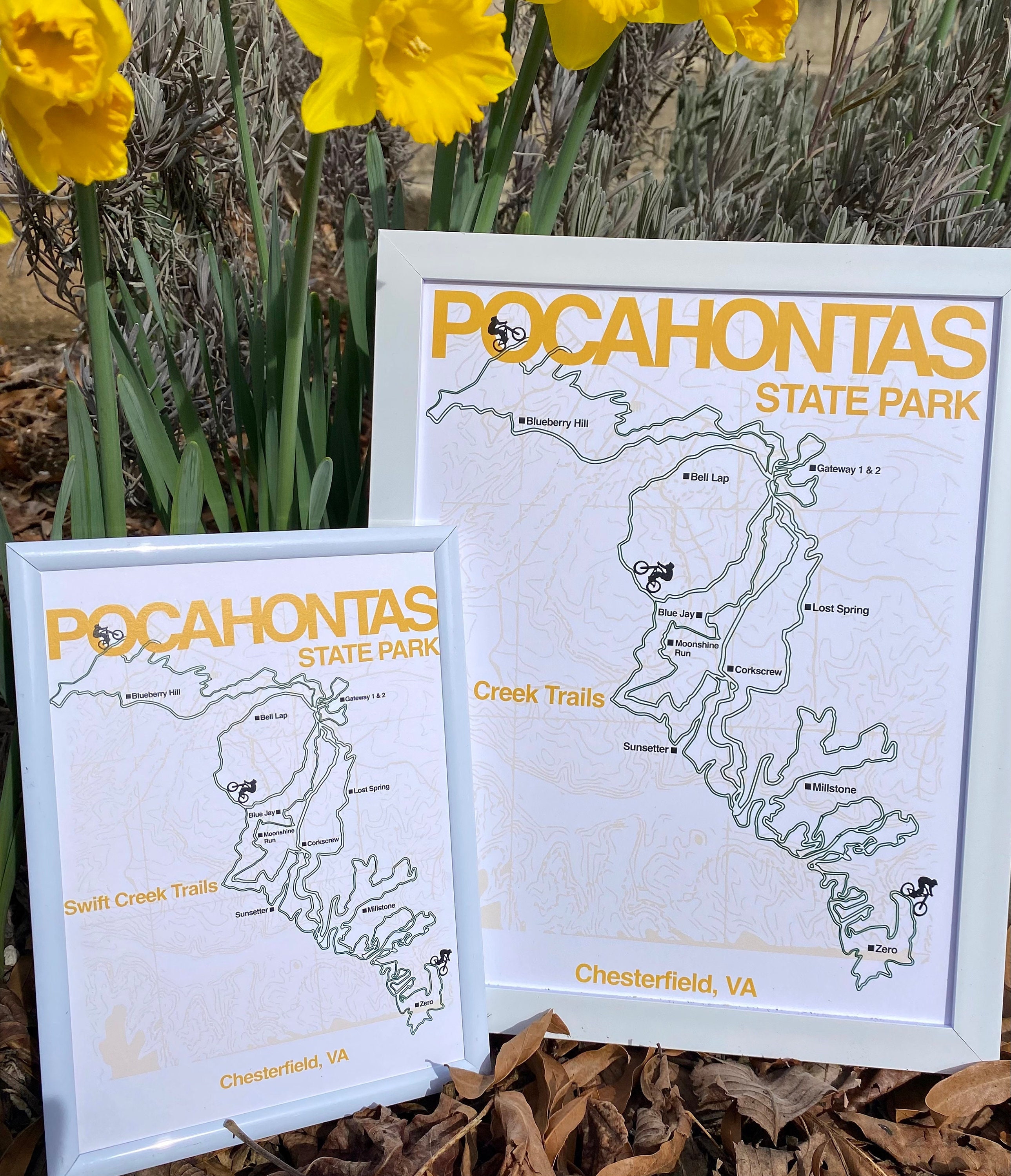 Pocahontas State Park, Mountain Biking Trail Art - Etsy