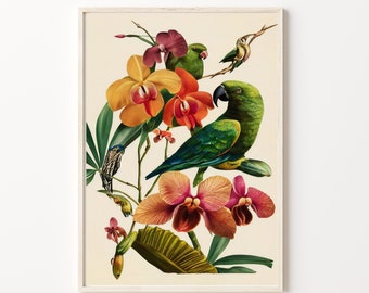 Vintage Birds and Botanical, Botanical Prints, Wall Art, Printable