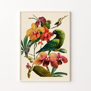 Vintage Birds and Botanical, Botanical Prints, Wall Art, Printable