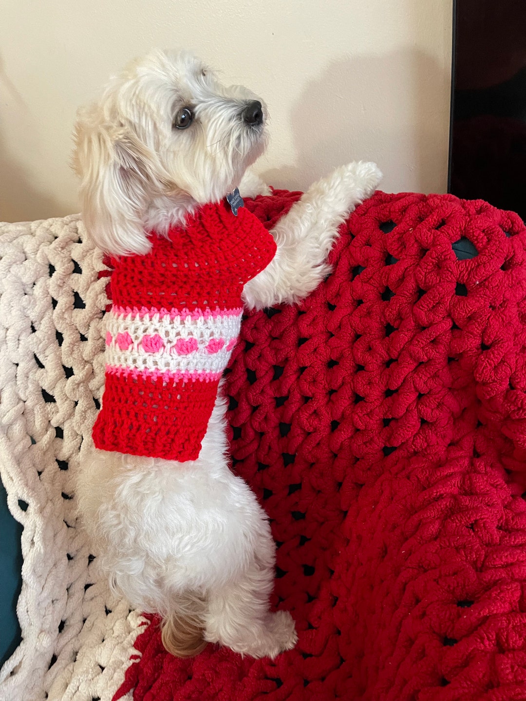 Love for Our Pets Valentine Dog Sweater With Hearts Size