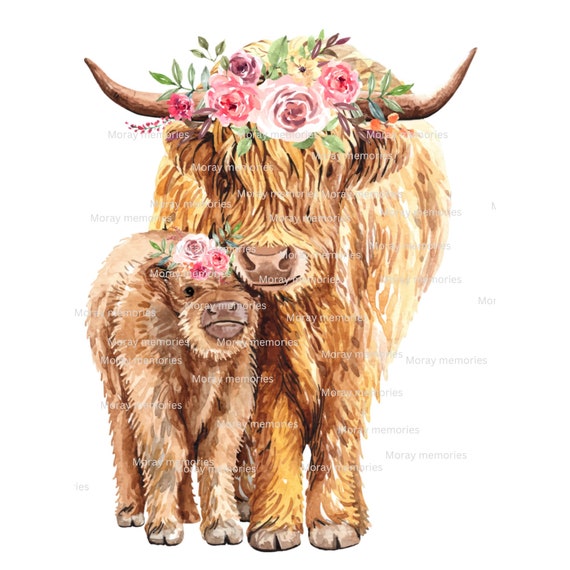 Highland Cow Art Stock Illustrations – 2,537 Highland Cow Art