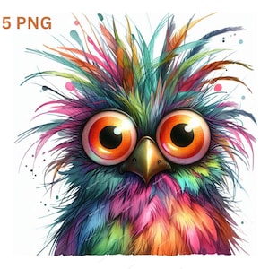 Verrückte bunte Vögel Clipart, hochwertige PNGs, lustige flauschige Vögel, Junk Journaling, Scrapbooking, Kartenherstellung, digitaler Download, wunderlich