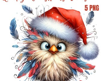 Quirky Christmas Birds Clipart, High Quality PNGs, Memory Book, Junk Journals, Scrapbooks, Digital Planners, Commercial Use, Sublimation
