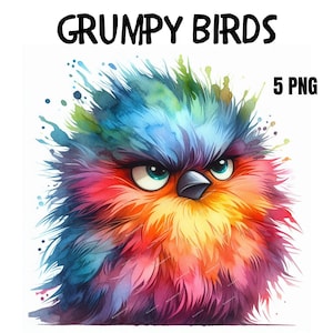 Imágenes prediseñadas de pájaros gruñones, pájaros esponjosos y adorables, imágenes prediseñadas digitales, imágenes prediseñadas de acuarela, PNG de alta calidad, imágenes prediseñadas imprimibles, descarga digital