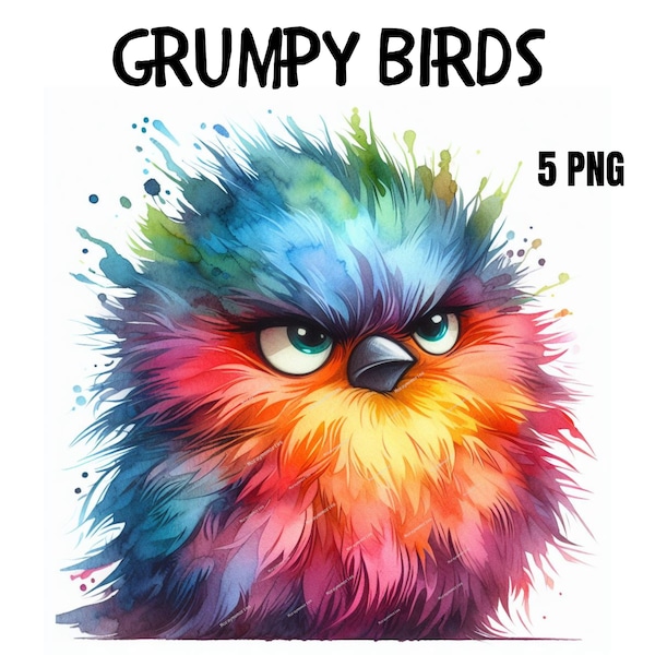 Grumpy Birds Clipart, Cute Fluffy Birds, Digital Clipart, Watercolor clipart, High Quality PNG, Printable clipart, Digital download