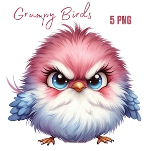 Pájaros gruñones y esponjosos, clipart de pájaro divertido, clipart de acuarela imprimible, PNG de alta calidad, descarga digital, manualidades de papel, diarios basura