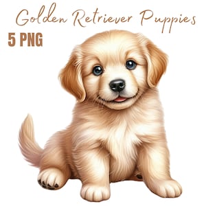 Golden Retriever Puppy Clipart, High Quality PNGs, Digital Download, Card Making, Clip Art, Digital Paper Craft