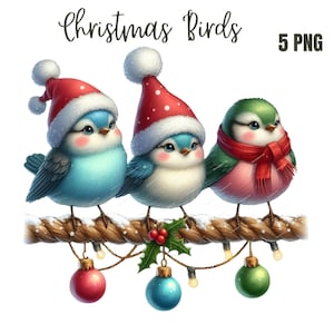 Clipart mignon oiseaux de Noël, PNG de haute qualité, livre de souvenirs, journaux indésirables, albums de coupures, agendas numériques, usage commercial, sublimation