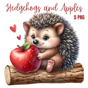 Hérisson mignon avec des cliparts pomme, PNG de haute qualité, oeuvre d'art pour chambre d'enfant, agenda numérique, aquarelle, fabrication de cartes, tenue d'un journal, téléchargement numérique