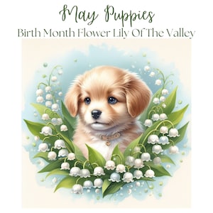 Chiots de mai, Golden Retriever, épagneul, muguet, sublimation, PNG, conception de cartes, chien mignon, téléchargement numérique instantané