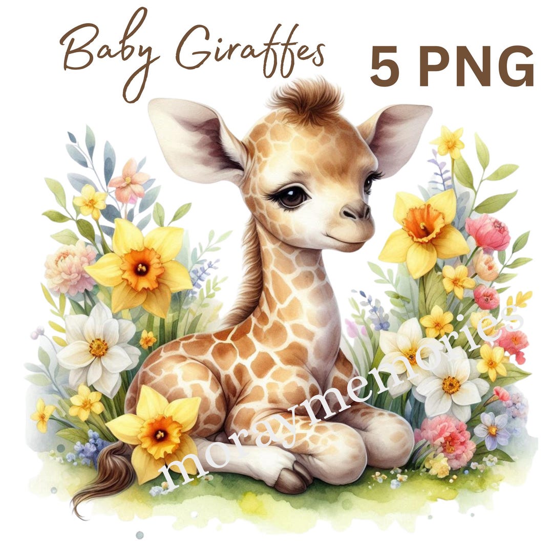 Spring Giraffe Baby Giraffe Clipart PNG Set of 5, Daffodil Spring Flowers, Cute ...