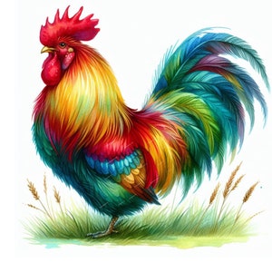 Puede incluir: Una vibrante pintura de acuarela de un gallo. El gallo presenta una cresta y una barbilla rojas, con un cuerpo de plumas amarillas, rojas y azules. Se encuentra sobre hierba verde con espigas de trigo, sobre un fondo blanco.