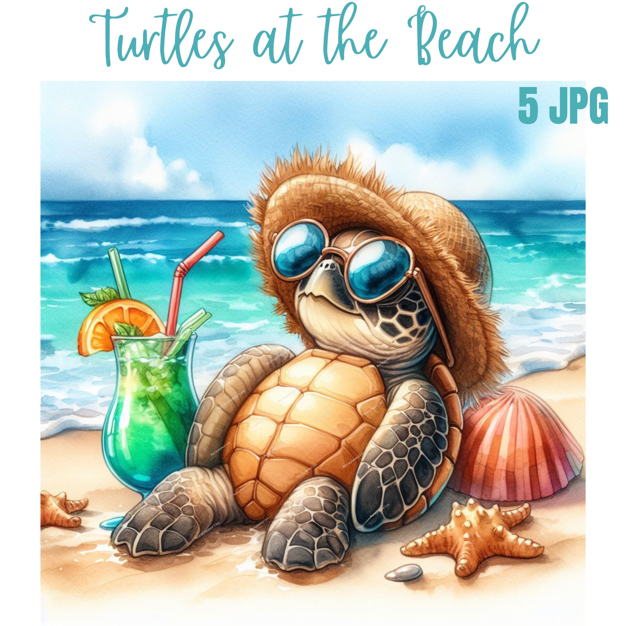 Turtle at the Beach JPG, Baby Turtles Wall Art Images Bundle JPEG Cute  Turtle Sublimation Clipart, Turtle Bundle, Sea Turtle, Cute Turtle - Etsy  Australia