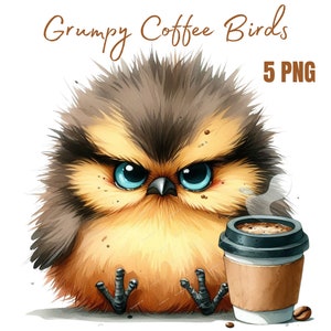 Clipart oiseaux grincheux, oiseaux de café moelleux mignons, clipart numérique, clipart aquarelle, PNG de haute qualité, clipart imprimable, téléchargement numérique