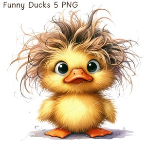 Funny Duck Clipart, Funny Birds,High Quality PNGs, Digital Planner, Watercolor, Card Making, Journaling,Digital Download, Cute Duckling