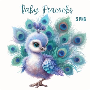 Clipart di pavone carino / Pacchetto di clipart di pavone adorabile / Disegni di alta qualità / Arte della fauna selvatica / Stampabili / Uso commerciale