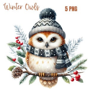 Hibou hiver Clipart, PNG de haute qualité, clipart hiver, Noël PNG, agenda numérique, aquarelle, fabrication de cartes, tenue de journal, téléchargement numérique