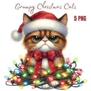 Grumpy Christmas Cats clipart, hoge kwaliteit png's, geheugenboek, ongewenste tijdschriften, plakboeken, digitale planners, commercieel gebruik, sublimatie