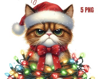 Grumpy Christmas Cats Clipart, High Quality PNGs, Memory Book, Junk Journals, Scrapbooks, Digital Planners, Commercial Use, Sublimation