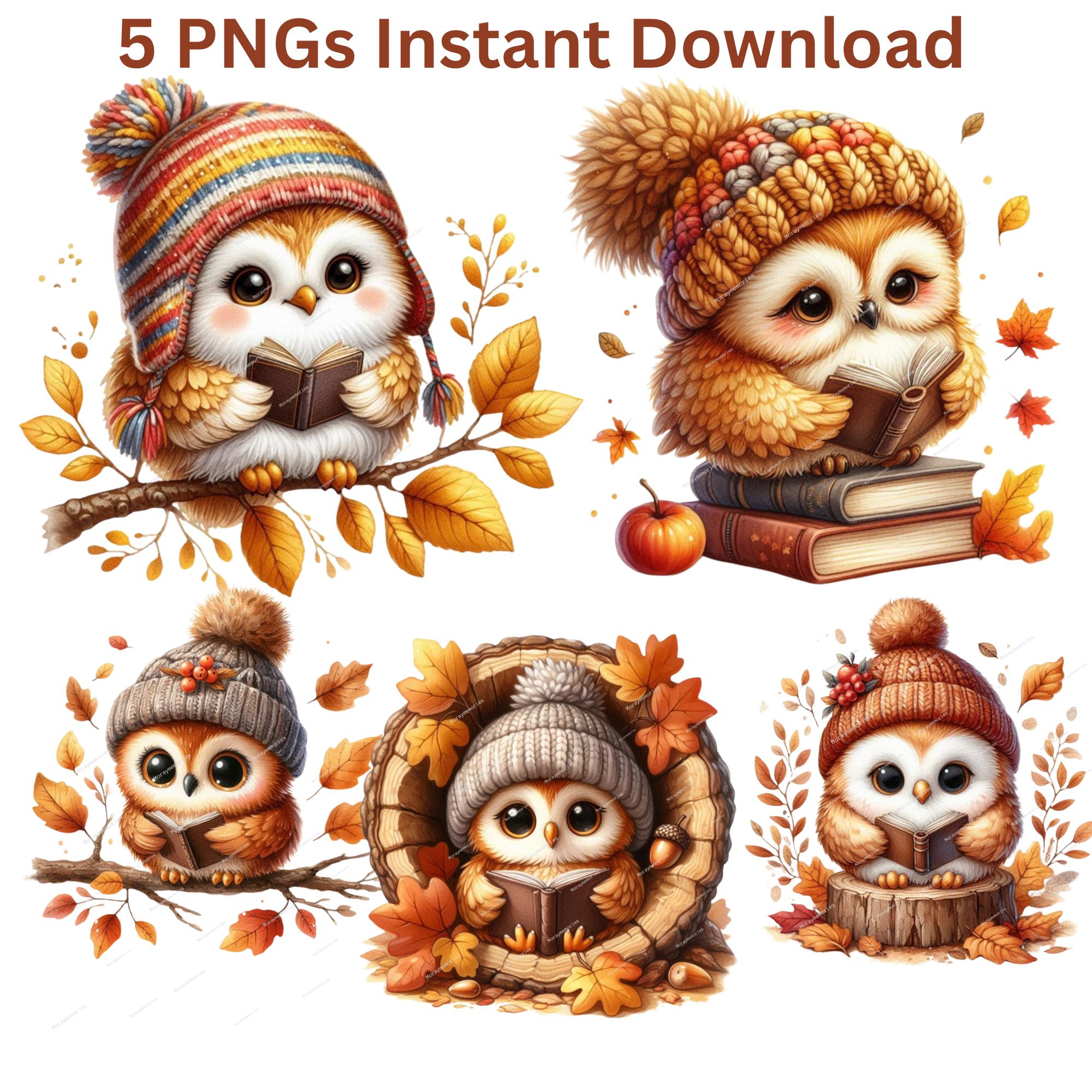 Cute Fall Owl Clipart PNG, Woodland Owl Wearing Knitted Hat reading a book, Autumn Animal Illustrati