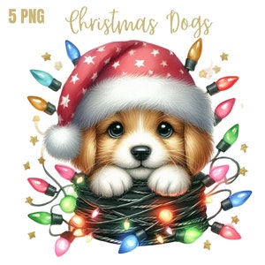 Dog Christmas png, Christmas Dog png, Dog Lover Png, Merry Christmas, Funny Dog Sublimation Digital Download, Pet holiday Digital Download
