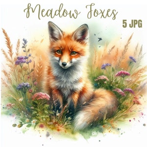 Renard mignon, renard dans un pré, cliparts JPG de haute qualité, créations en papier numérique, agenda numérique, vêtements, aquarelle, téléchargement numérique
