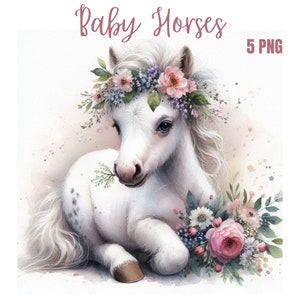 May include: A white baby horse with a pink and purple flower crown, wearing a flower crown and lying down with a bouquet of flowers in front of it.  5 PNG.